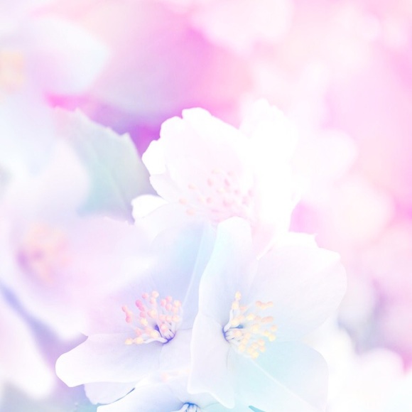 Meet your Posher, Berkeley - Picture 1 of 1